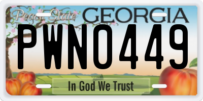 GA license plate PWN0449