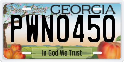 GA license plate PWN0450