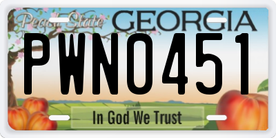 GA license plate PWN0451