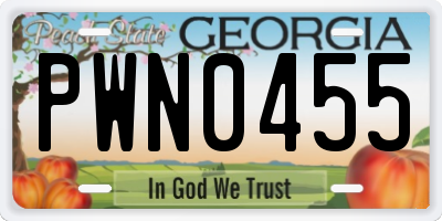 GA license plate PWN0455