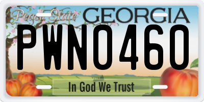 GA license plate PWN0460
