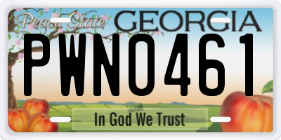 GA license plate PWN0461