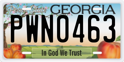 GA license plate PWN0463