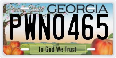 GA license plate PWN0465