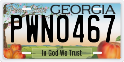 GA license plate PWN0467