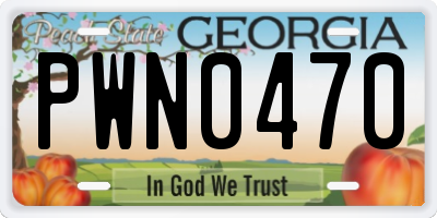 GA license plate PWN0470