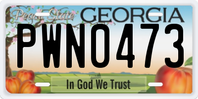 GA license plate PWN0473