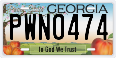 GA license plate PWN0474