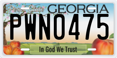 GA license plate PWN0475