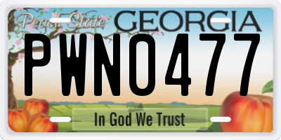 GA license plate PWN0477