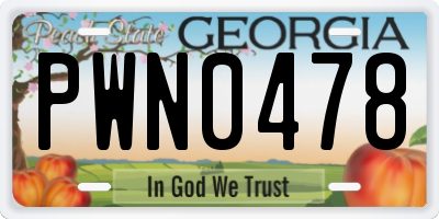 GA license plate PWN0478