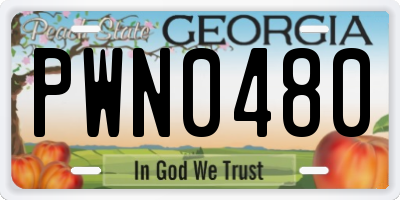 GA license plate PWN0480
