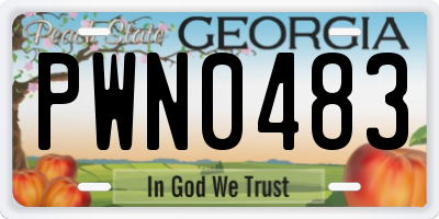GA license plate PWN0483
