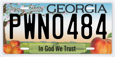 GA license plate PWN0484