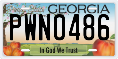 GA license plate PWN0486