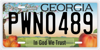 GA license plate PWN0489