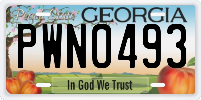 GA license plate PWN0493