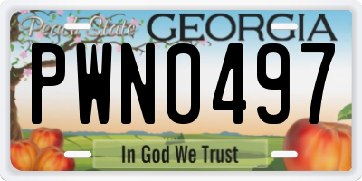 GA license plate PWN0497