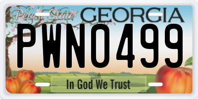 GA license plate PWN0499