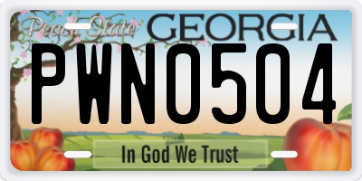 GA license plate PWN0504