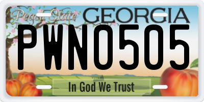 GA license plate PWN0505