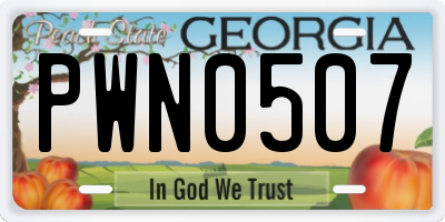 GA license plate PWN0507