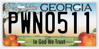 GA license plate PWN0511