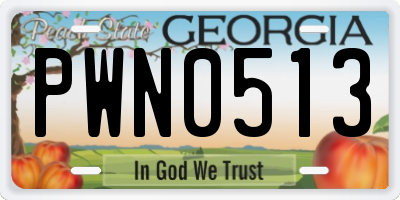 GA license plate PWN0513