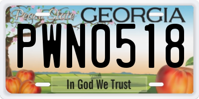 GA license plate PWN0518