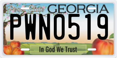 GA license plate PWN0519