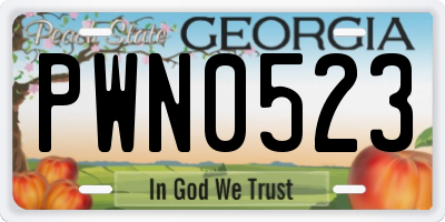 GA license plate PWN0523