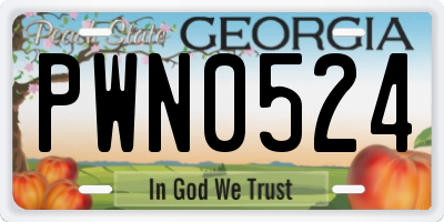 GA license plate PWN0524