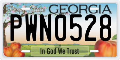 GA license plate PWN0528