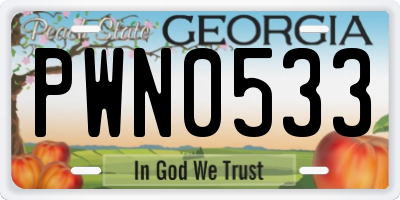 GA license plate PWN0533