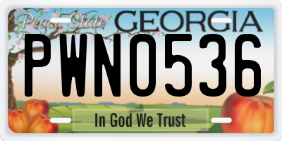 GA license plate PWN0536