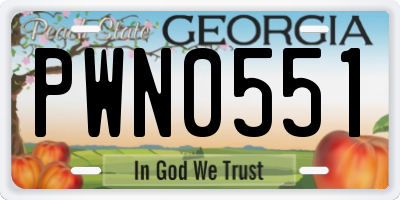 GA license plate PWN0551