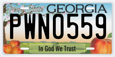 GA license plate PWN0559