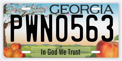 GA license plate PWN0563