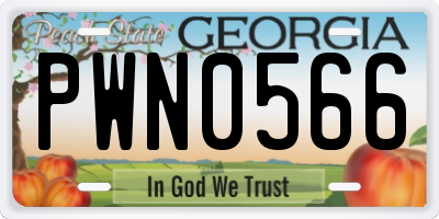 GA license plate PWN0566