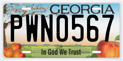 GA license plate PWN0567