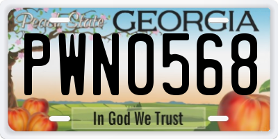 GA license plate PWN0568
