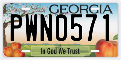 GA license plate PWN0571