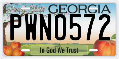 GA license plate PWN0572