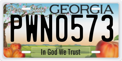 GA license plate PWN0573