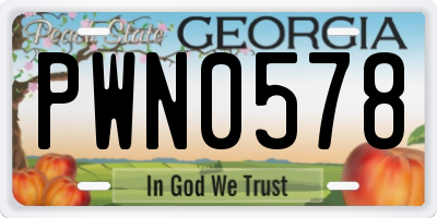GA license plate PWN0578