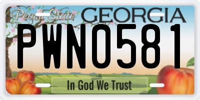 GA license plate PWN0581