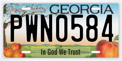 GA license plate PWN0584