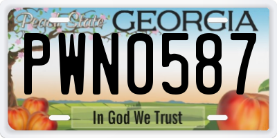 GA license plate PWN0587