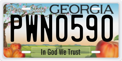 GA license plate PWN0590