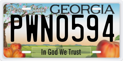 GA license plate PWN0594